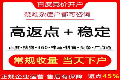 行业领先企业的SEM代运营经验分享